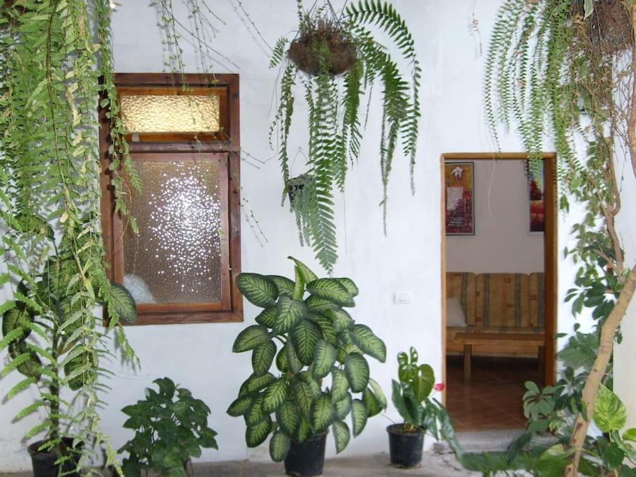 Preciosa Casa Emblematatica, Piscina,Wifi Villa Santa Catalina Eksteriør billede